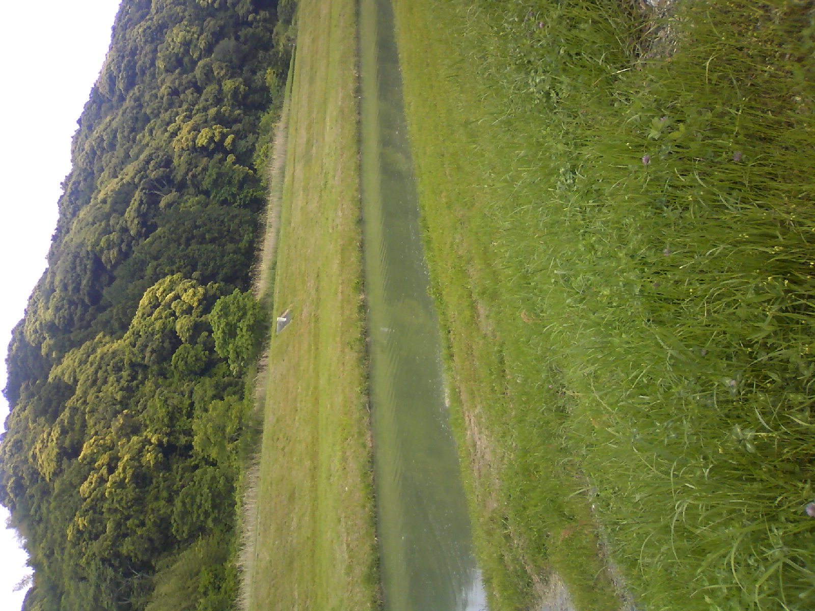 静岡県の西部地区へ タナゴ挑戦